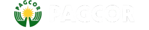 pagcor-j88ok