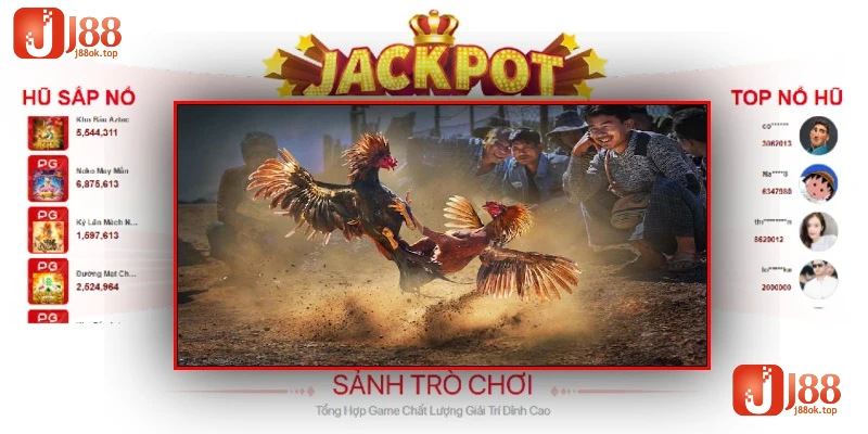 da-ga-j88-cac-hinh-thuc-da-dang