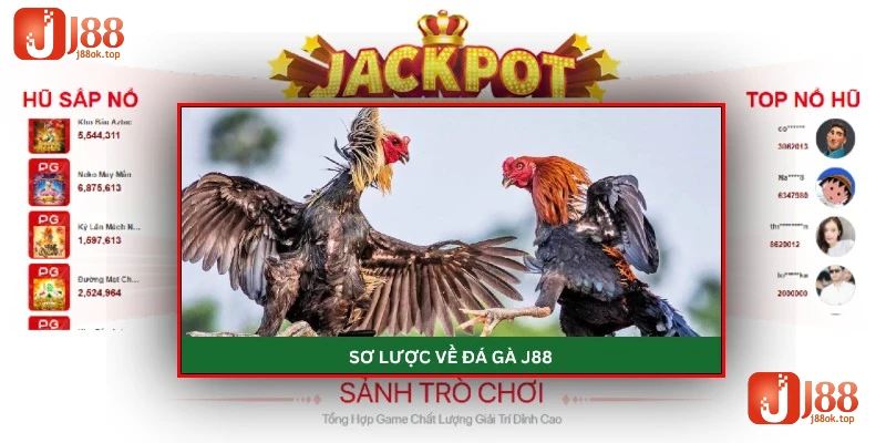 da-ga-j88-so-luoc